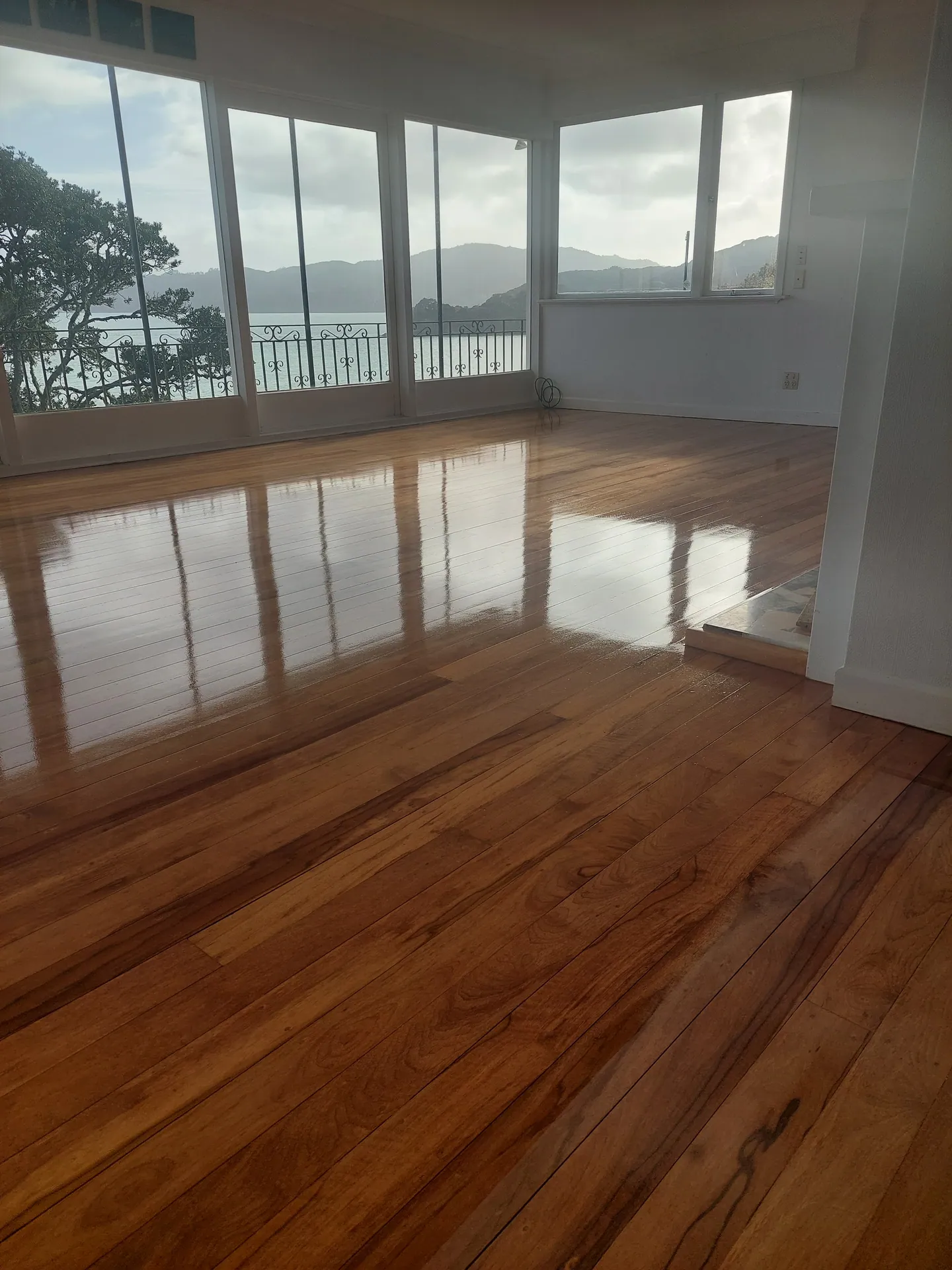 High-gloss native timber floor reflecting a wall of windows that look out over a bay.
