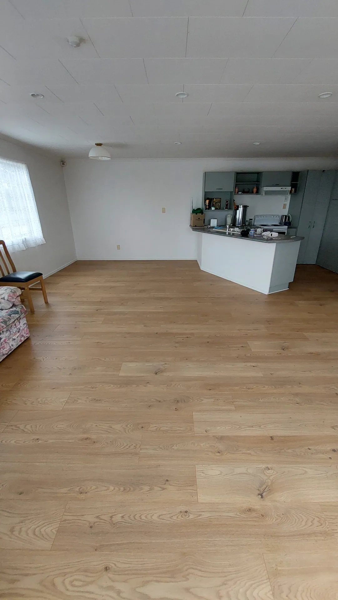 An open-plan room with a light oak floor running to a kitchen bench and grey cabinets.