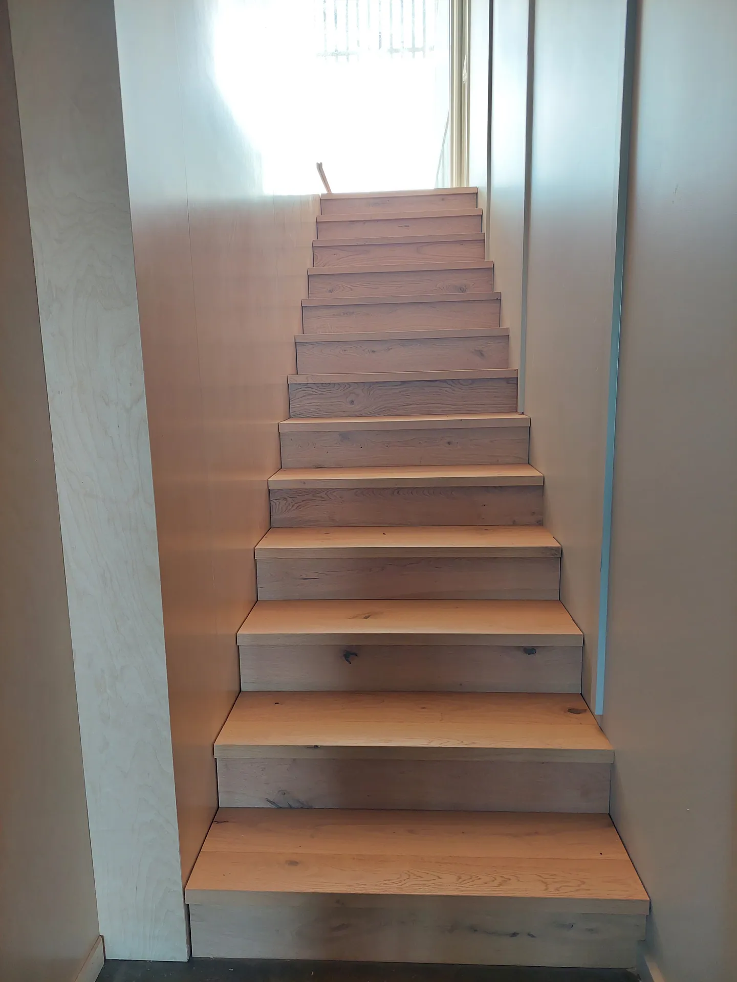 Straight flight of oak stair treads and risers between plywood-lined walls, lit from a window at the top.